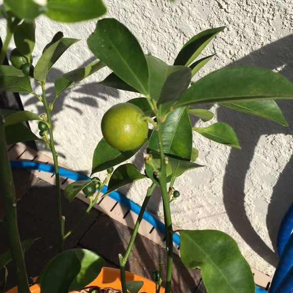 Meet your Posher, Andy - Picture 8 of 8